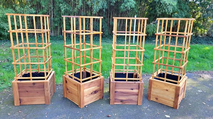 Cedar tomato planters with tall removable climbing cages