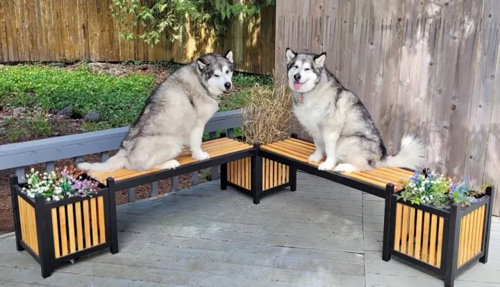 Garden Benches — photo 3