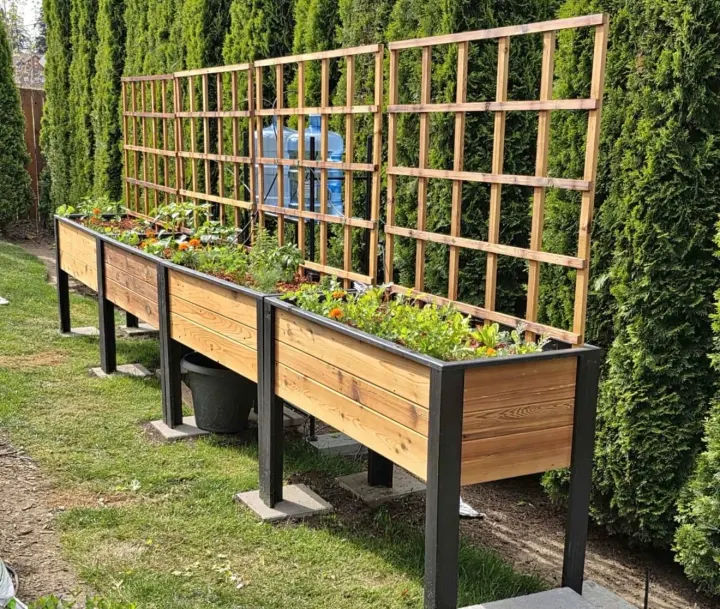 Planters & Raised Beds — album cover