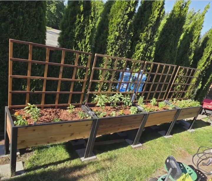 Raised Bed with Trellis