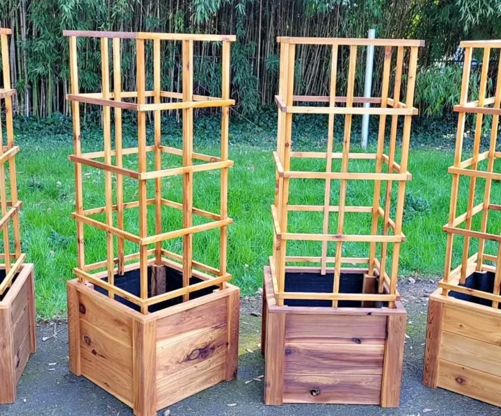 Cedar Tomato Planter with Cage