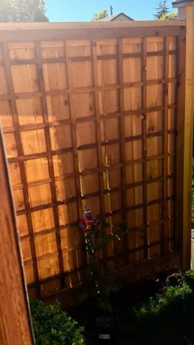 Trellises & Lattice — photo 4